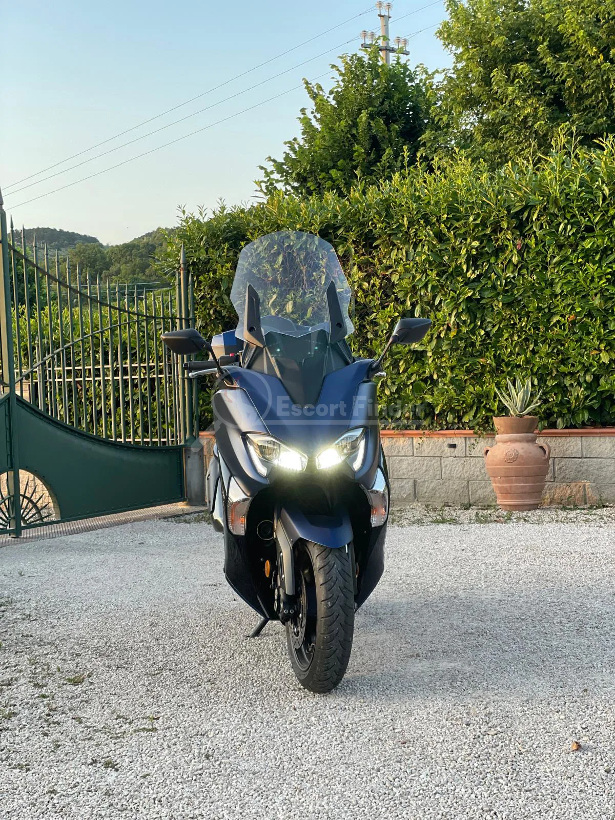 Leonardo Leo – Escort ad Assisi, foto 2